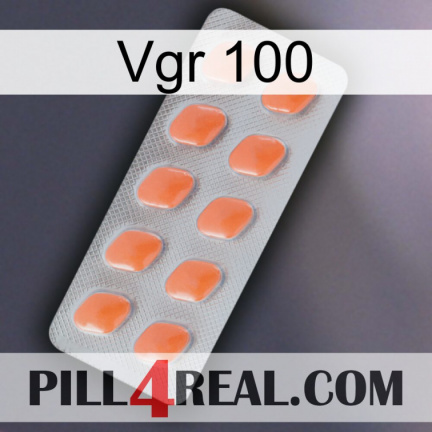 Vgr 100 26